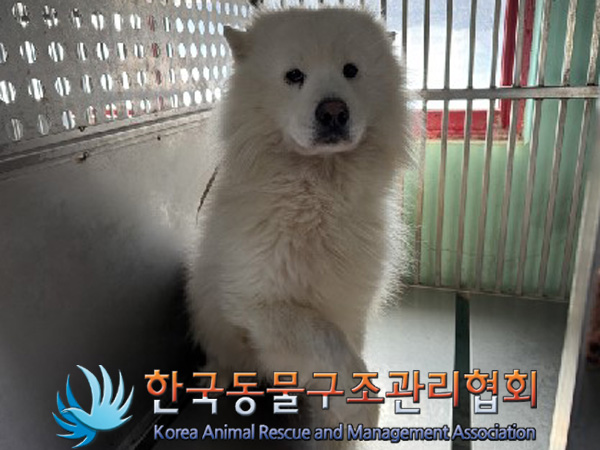한국동물구조관리협회_441559202401423